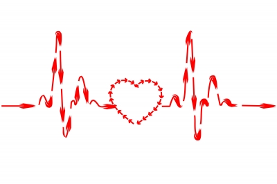 cardio heart
